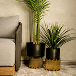Planter image number 0
