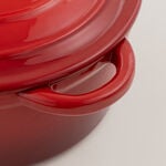 Alberto enameled cast iron dutch oven 20*25.5*8.5cm, red image number 3