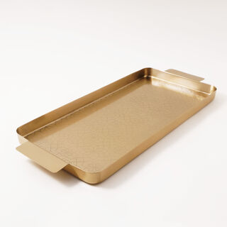 Dallaty steel serving tray 57*25*3cm, gold