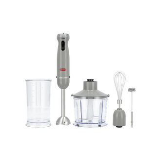 Alberto Stainless steel 1000W 4 in 1 hand blender