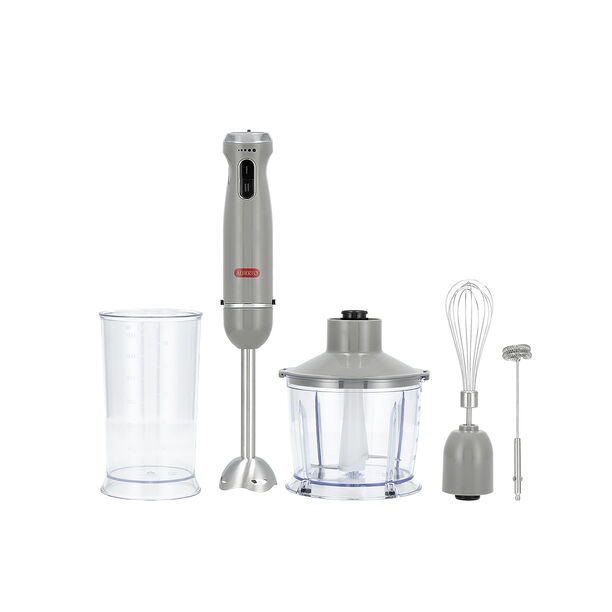 Alberto Stainless steel 1000W 4 in 1 hand blender image number 1