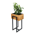 وعاء نباتات image number 3