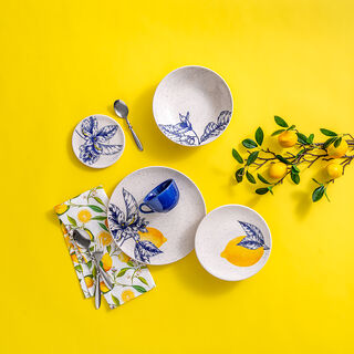  20 Pcs Porcelain Dinner Set Serve 4 Persons
