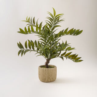 Homez pterocarya stenoptera plant in cement pot 73.5*42*22cm