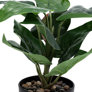 ARTIFICIAL PLANT IN PLASTIC BOX