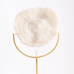 Coral with marbel base image number 2