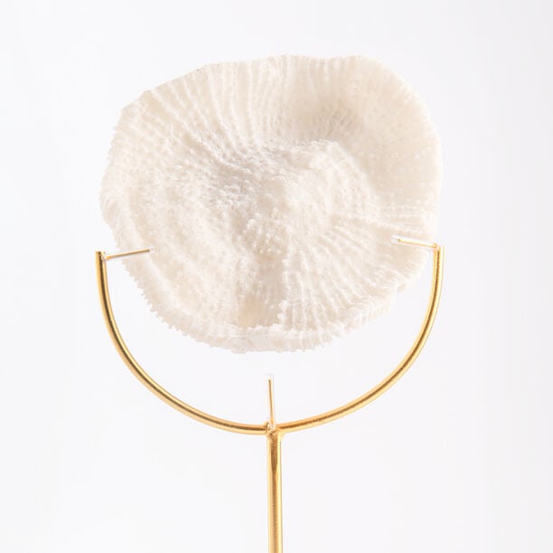 Coral with marbel base image number 2