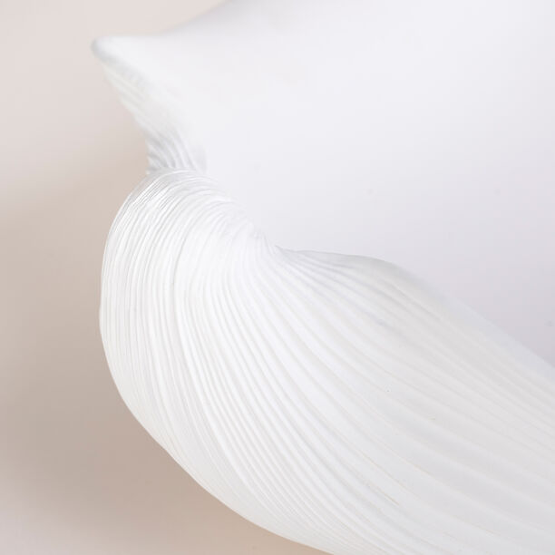 Homez off white resin decorative shell 41.5*34.4*17.6 cm image number 3