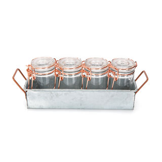 Alberto 4 Pieces Glass Mini Spice Jars With Copper Clip Lid And Metal Stand