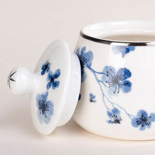 La Mesa Porcelain Tea And Coffee Set 21 Pieces Blue