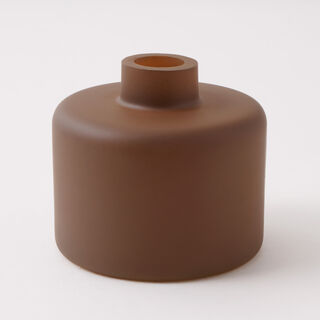 Homez 100 ml glass diffuser with reeds and amber scent oil