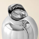 Dallaty pumpk steel vacuum flask chrome 1L image number 1