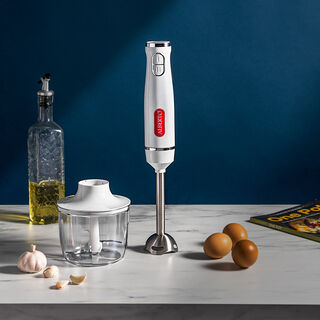 Alberto Stainless steel 600W 2 in 1 hand blender