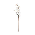 Dried Flowers Cotton Branch image number 0