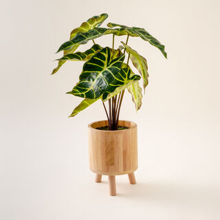 Homez Artificial Plant In Wood Pot 22.86*22.86*33.6Cm