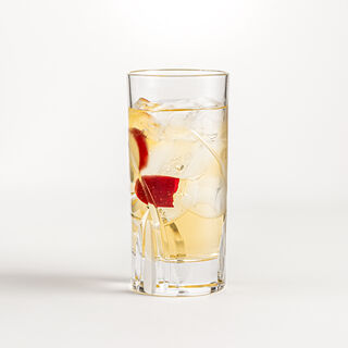 RCR 2 pc crystal tumblers set 360 ml Grosseto collection