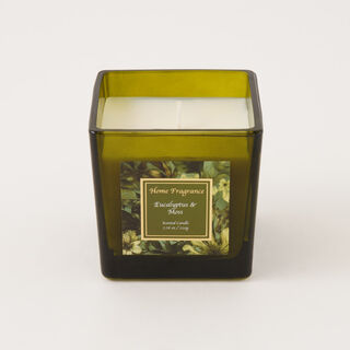 Homez Flowery Scented Candle Wax Eucalyptus And Moss 220 G