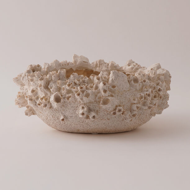 Homez Resin Decor Bowl, Beige 31.5*28.5*13.2 Cm image number 0