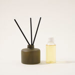 Homez 100 ml glass diffuser with oil and reed, green image number 1