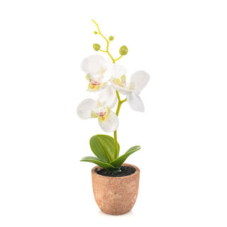 Homez indoor artificial mini phalaenopsis in pot, white, 20cm