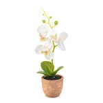 Homez indoor artificial mini phalaenopsis in pot, white, 20cm image number 0