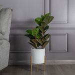 Metal Planter With Gold Legs White image number 0