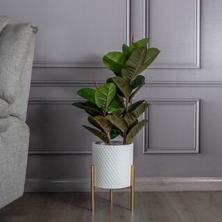 Metal Planter With Gold Legs White