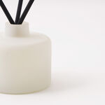 Homez 100 ml glass diffuser with oil and reed image number 2