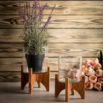 Planter Wood And Glass image number 0