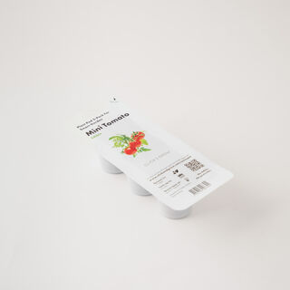 Click & grow seeds mini tomato
