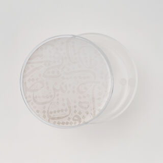 La Mesa Food Containers Acrylic, Large, 21*8.5 Cm