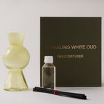 Homez 100 ml glass diffuser with reeds and white oud scent oil image number 0