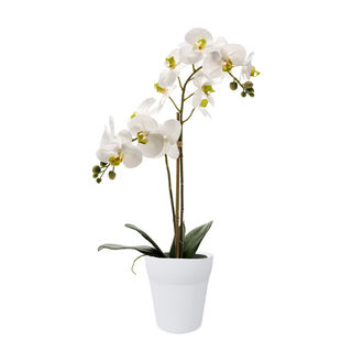 Homez indoor artificial phalaenopsis bush in white pot, white, 65cm