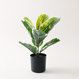 Homez artificial oak tree 30*30*32cm