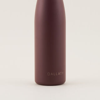 ترمس دلتي ستانلس ستيل بني 700 مل