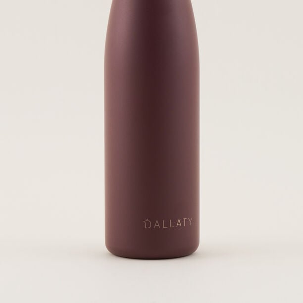 ترمس دلتي ستانلس ستيل بني 700 مل image number 2