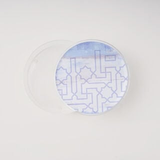 La Mesa Food Containers Acrylic, Large, 21*8.5 Cm