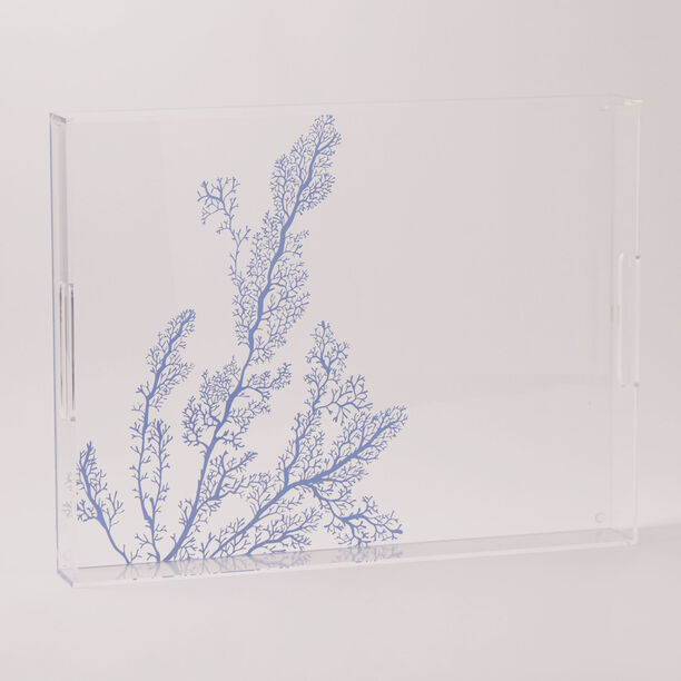 Dallaty acrylic serving tray, 40*30*6 cm image number 1