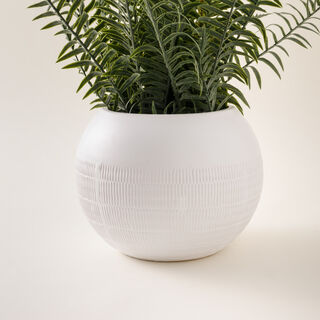 Homez Artificial Plant In White Ceramic Pot 44.45*44.45*43.18Cm