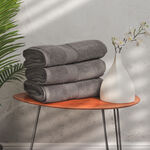  Bath Sheet image number 0