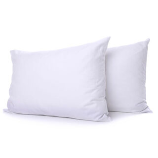 Cottage pillow 2pc