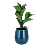 إناء نباتات سيراميك أزرق image number 2