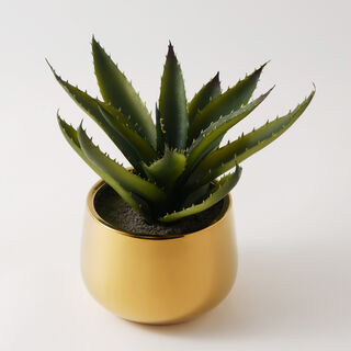 Homez Artificial Aloe Vera In A Gold Pot 25*32Cm