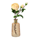 Vase With Gold Ring Amber Color image number 1
