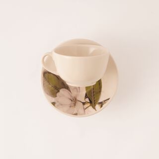 Rio floral 20 pcs porcelain dinner set