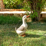 Duck Decoration 21*18*46 cm image number 0