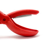 Snips Chestnut Cutter image number 1