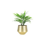 حامل نباتات image number 2