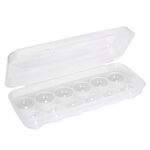 Alberto Plastic Egg Case Transparent image number 1