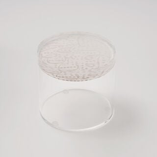 لاميسا عُلب طعام أكريليك، متوسطة، 14*11 سم